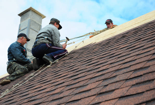 Tile Roofing Contractor in Wesley Chapel, FL